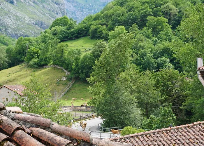 Apartahotel Montecaoru